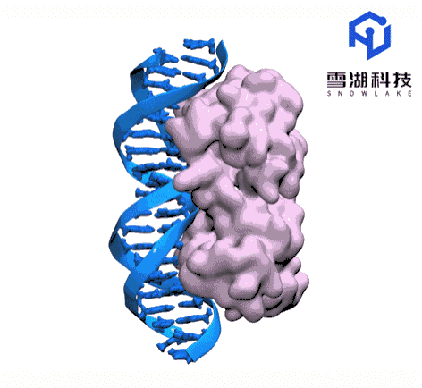 Illustration of molecular dynamics